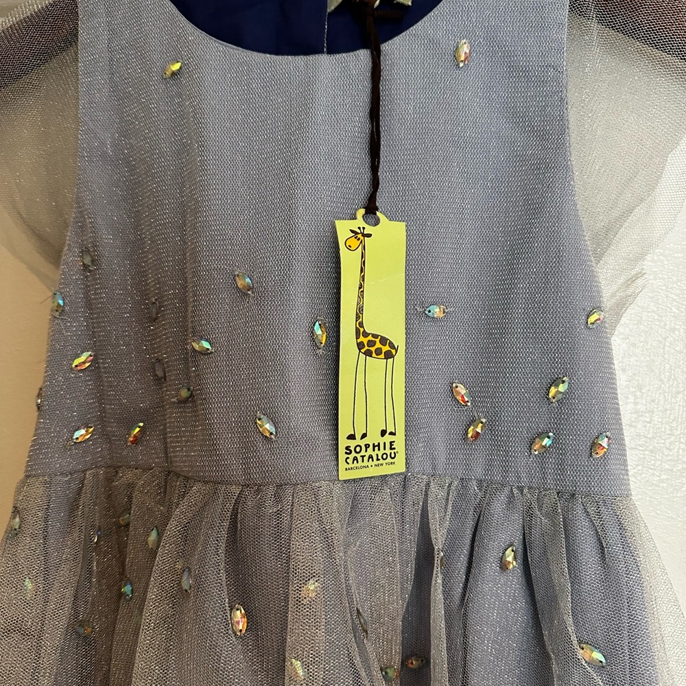 NWT Sophie Catalou special occasion dress in size 9/10. Silver purple rhinestone